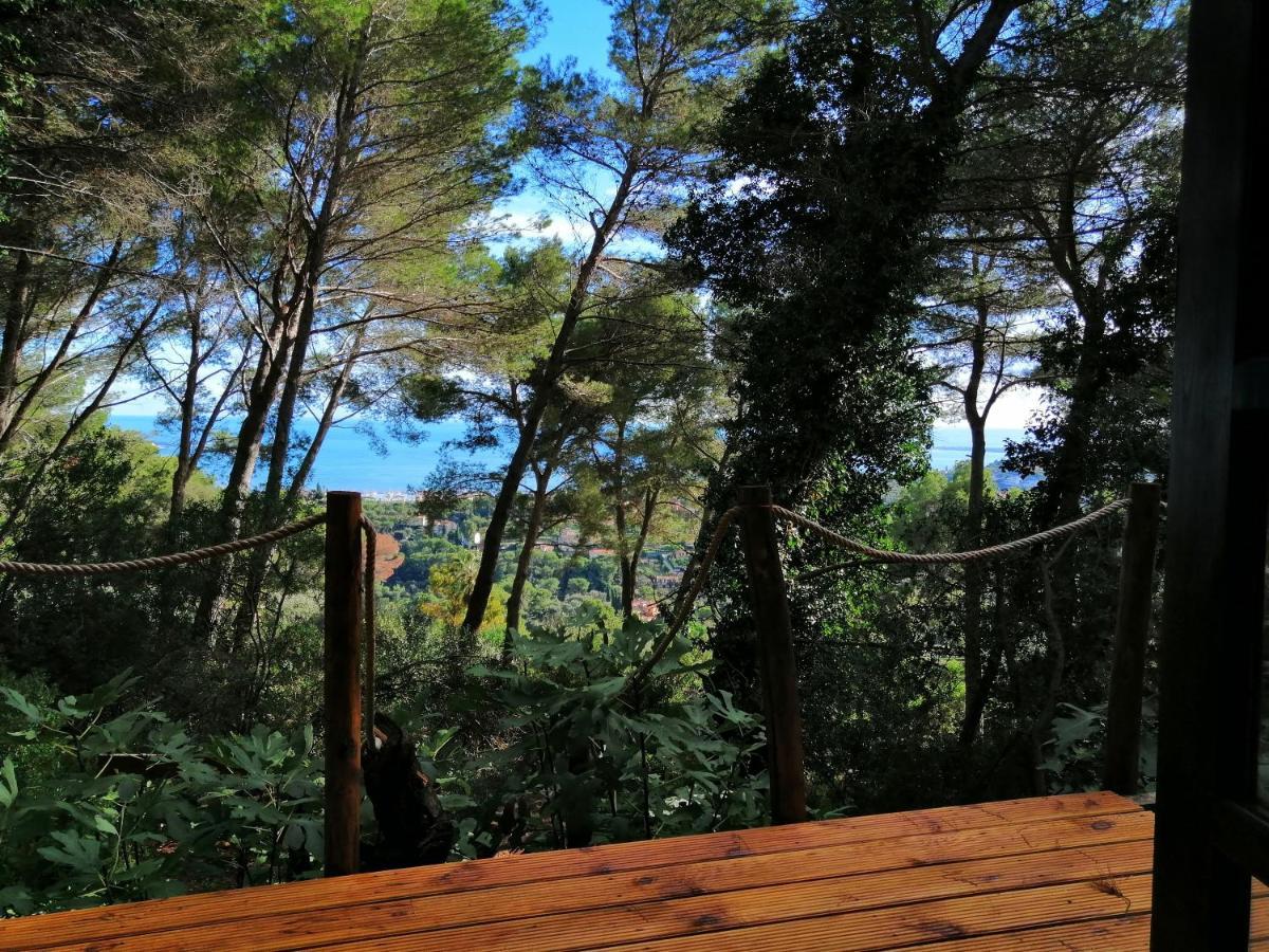 Cabane azur mountain Vallauris Extérieur photo