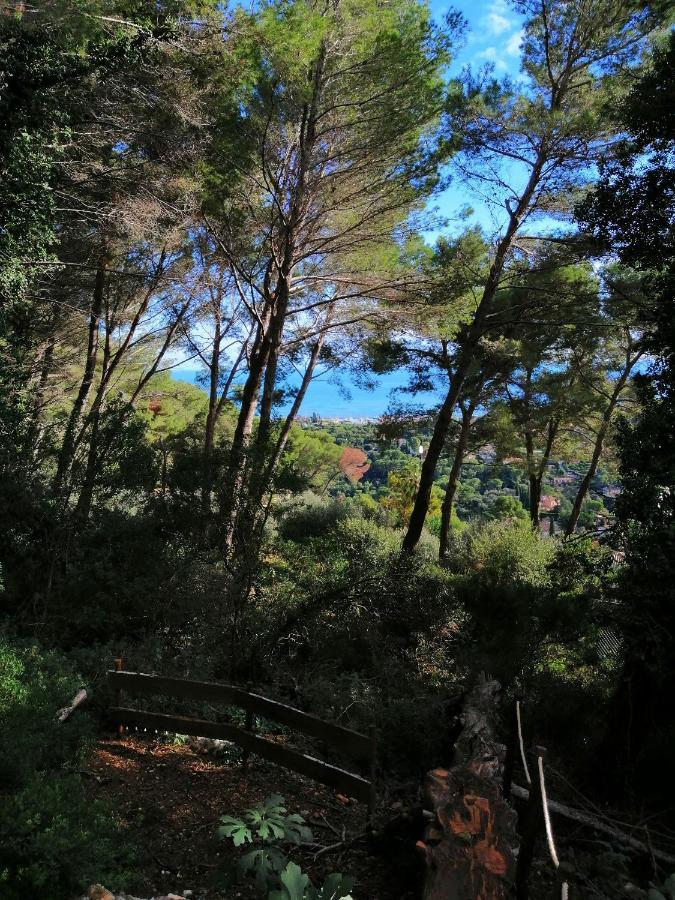Cabane azur mountain Vallauris Extérieur photo